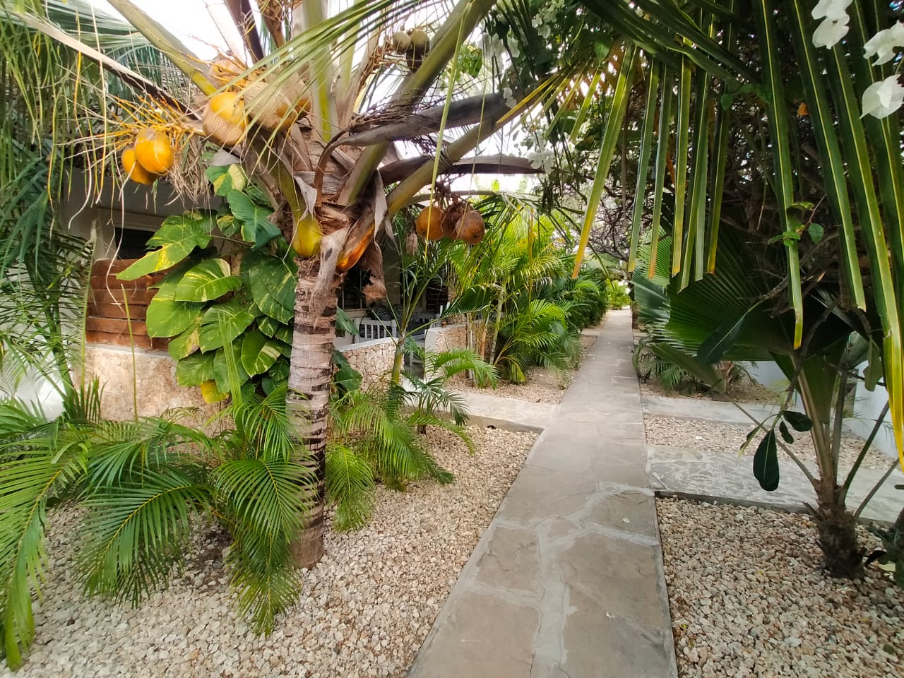 Welcome to the New Aricapalm Villa Website: Your Digital Key to Watamu!